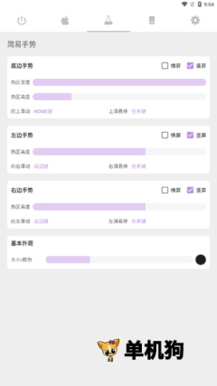 Gesture小横条截图3