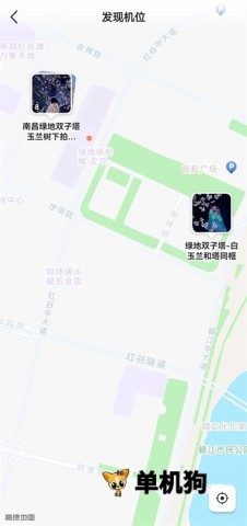 可颂 第7张图
